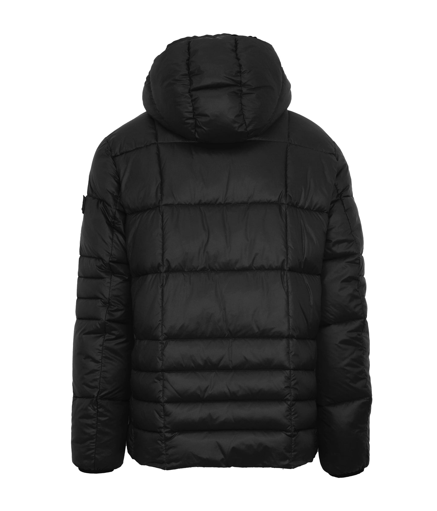 Plein Sport MAN OUTWEAR - Padded Jacket / Bomber Black- UPPS26E99